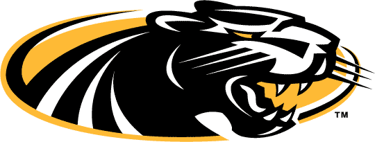 Wisconsin-Milwaukee Panthers 2002-2010 Alternate Logo t shirts iron on transfers
